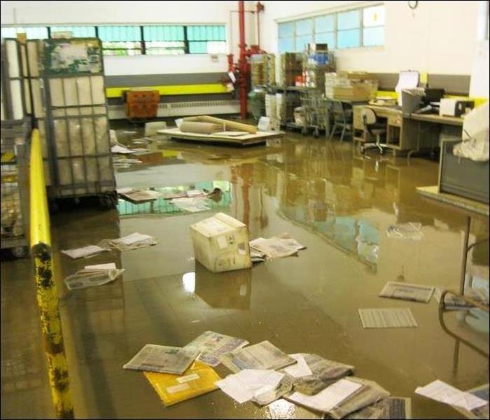 dirty flood water, mail, and papers floating, desk in background, dirty water